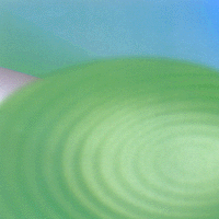 front1.gif (25525 bytes)