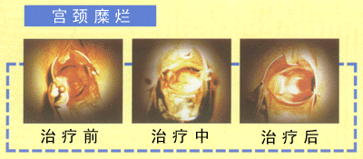 gongjing.GIF (40100 bytes)