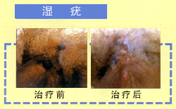 shiyou.gif (26145 bytes)