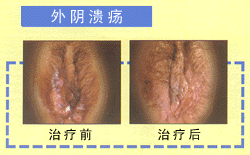 waiyin.GIF (23939 bytes)