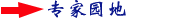 expert.gif (909 bytes)
